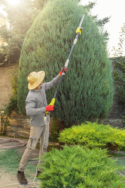 Best Commercial Tree Services  in Mill Creek East, WA